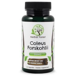 Coleus Forskohlii Coleus Forskohlii